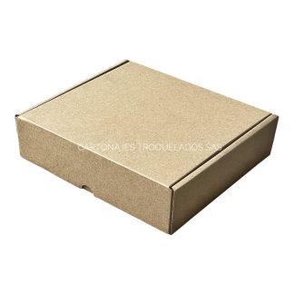 caja de carton cofre 23x20