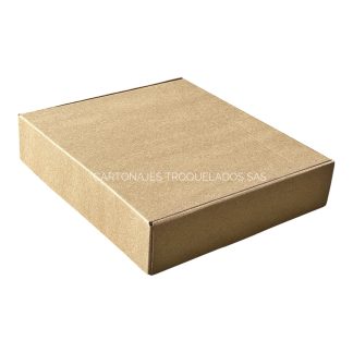 caja de carton para huevos 29x25